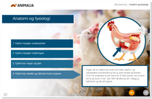 Last inn bildet i Galleri-visningsprogrammet, Kurs i god plukking av verpehøner for eggprodusenter