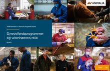 Last inn bildet i Galleri-visningsprogrammet, Dyrevelferdsprogrammer for veterinærer (alle moduler)