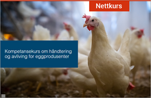 Last inn bildet i Galleri-visningsprogrammet, Kompetansekurs Håndtering og avliving for eggprodusenter
