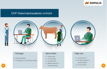 Last inn bildet i Galleri-visningsprogrammet, Dyrevelferdsprogrammer for veterinærer (alle moduler)

