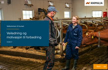 Last inn bildet i Galleri-visningsprogrammet, Dyrevelferdsprogrammer for veterinærer (alle moduler)
